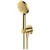 RAK CERAMICS RAK Petit Round Wall Mounted Shower Set Brushed Gold 2 RAK CERAMICS RAK Petit Round Wall Mounted Shower Set Brushed Gold -Ideal Standard shop rak rakper4005g
